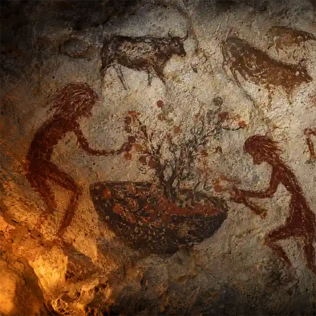 Chauvet Cave Wild Juniper & Berry Infusion – glacial herbal elixirs primitive drinks recipe from Franco-Cantabrian Region